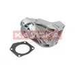 KAMOKA T0250 - Pompe à eau