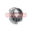 KAMOKA T0254 - Pompe à eau