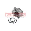 KAMOKA T0260 - Pompe à eau