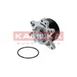 KAMOKA T0263 - Pompe à eau