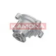 Pompe à eau KAMOKA [T0272]
