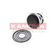 KAMOKA T0273 - Pompe à eau