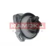 KAMOKA T0275 - Pompe à eau