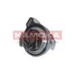 KAMOKA T0275 - Pompe à eau