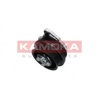 Pompe à eau KAMOKA T0278