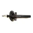 MAXGEAR 11-0296 - Jeu de 2 amortisseurs avant