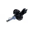 MAXGEAR 11-0645 - Jeu de 2 amortisseurs avant