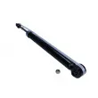 MAXGEAR 11-0669 - Jeu de 2 amortisseurs arrière
