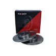 MAXGEAR 19-1171 - Jeu de 2 disques de frein arrière