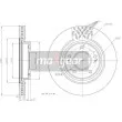 MAXGEAR 19-2393 - Jeu de 2 disques de frein avant