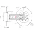 MAXGEAR 19-2503 - Jeu de 2 disques de frein avant