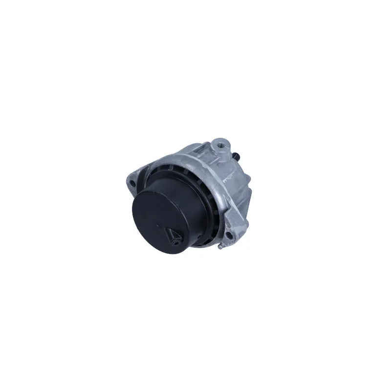 Support moteur MAXGEAR 40-0409 - Visuel 1