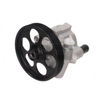 Pompe hydraulique, direction MAXGEAR OEM 491100920R