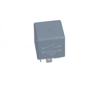 Minuterie multifonctions MAXGEAR 50-0333