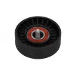MAXGEAR 54-0788 - Poulie renvoi/transmission, courroie trapézoïdale à nervures