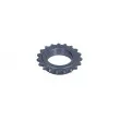 MAXGEAR 54-1501 - Roue dentée, vilebrequin