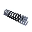 MAXGEAR 60-0496 - Ressort de suspension