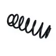 MAXGEAR 60-0554 - Ressort de suspension