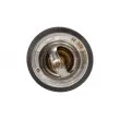 MAXGEAR 67-0041 - Thermostat, liquide de refroidissement