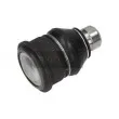 MAXGEAR 72-2541 - Rotule de suspension