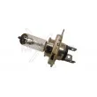 MAXGEAR 78-0051 - Ampoule, projecteur longue portée
