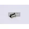 Ampoule, feu éclaireur de plaque MAXGEAR [78-0058SET]