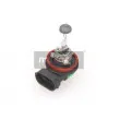 MAXGEAR 78-0136 - Ampoule, projecteur antibrouillard