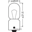 OSRAM 3893-02B - Ampoule, feu clignotant