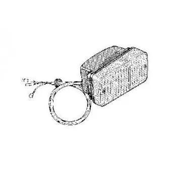 Feu clignotant avant droit VAN WEZEL 0221902
