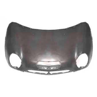 VAN WEZEL 0503660 - Capot-moteur
