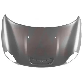 VAN WEZEL 0506670 - Capot-moteur