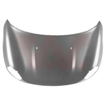 VAN WEZEL 0508660 - Capot-moteur