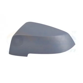 Revêtement, rétroviseur extérieur VAN WEZEL 0619843