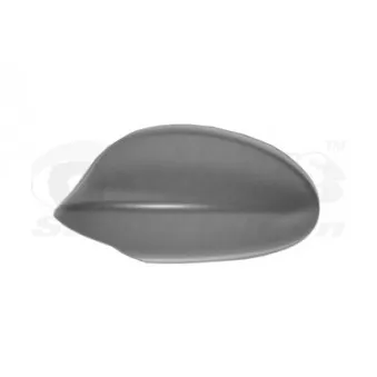 Revêtement, rétroviseur extérieur VAN WEZEL OEM 51167135097