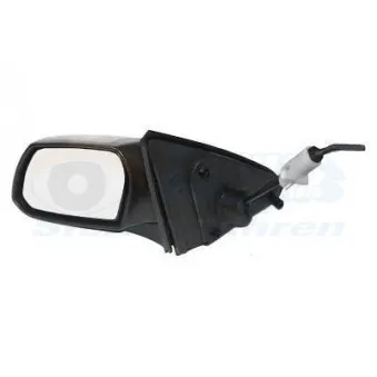Rétroviseur extérieur VAN WEZEL OEM 1232183