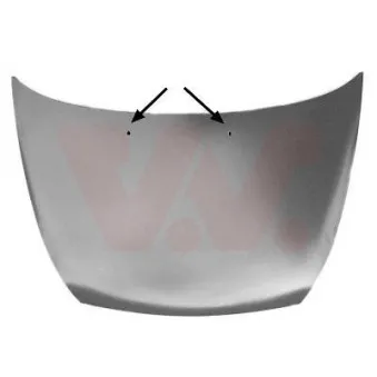 VAN WEZEL 1865760 - Capot-moteur