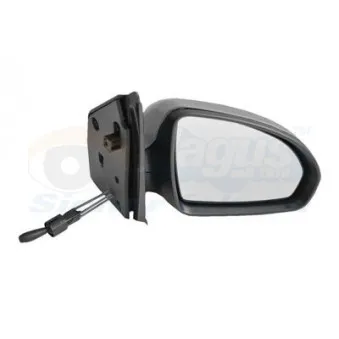 VAN WEZEL 2911814 - Rétroviseur extérieur