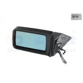 Rétroviseur extérieur VAN WEZEL OEM A1248101116