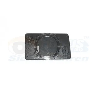 VAN WEZEL 3024861 - Verre de rétroviseur, rétroviseur extérieur
