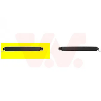 VAN WEZEL 3025512 - Bordure de phare avant droit