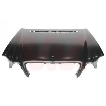 VAN WEZEL 3029660 - Capot-moteur
