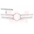 Baguette et bande protectrice, grille de radiateur VAN WEZEL [3074416]