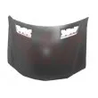 Capot-moteur VAN WEZEL [3087660]
