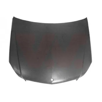VAN WEZEL 3097660 - Capot-moteur