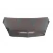 Capot-moteur VAN WEZEL [3235660]