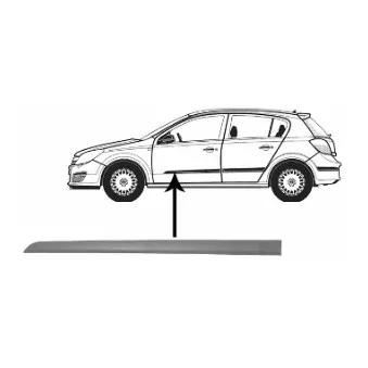 VAN WEZEL 3745423 - Baguette et bande protectrice, porte avant gauche