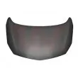 Capot-moteur VAN WEZEL [3749660]