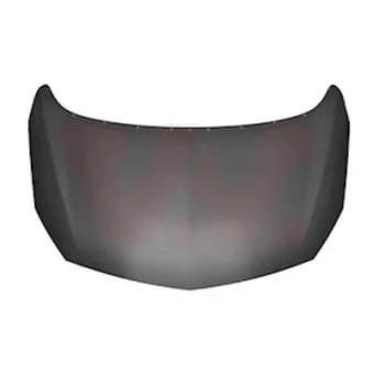 VAN WEZEL 3749660 - Capot-moteur