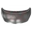 Capot-moteur VAN WEZEL [3860660]