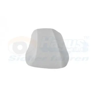 Revêtement, rétroviseur extérieur VAN WEZEL 3872846